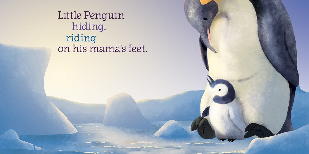 Little Penguin