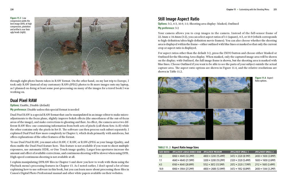 David Busch's Sony Alpha a7R III Guide to Digital Photography