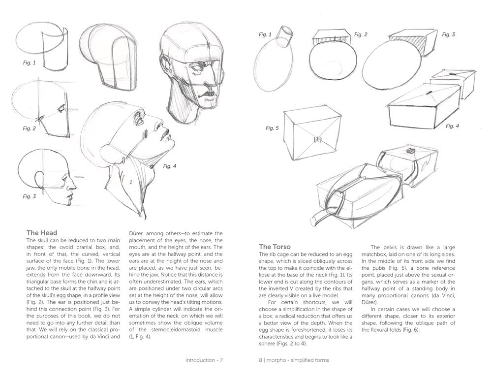 Morpho: Simplified Forms : Anatomy for Artists