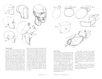 Morpho: Simplified Forms : Anatomy for Artists