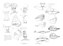 Morpho: Simplified Forms : Anatomy for Artists