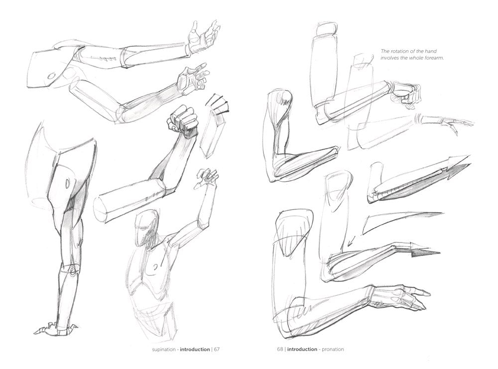 Morpho: Simplified Forms : Anatomy for Artists