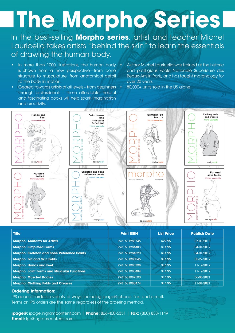 Morpho: Simplified Forms : Anatomy for Artists