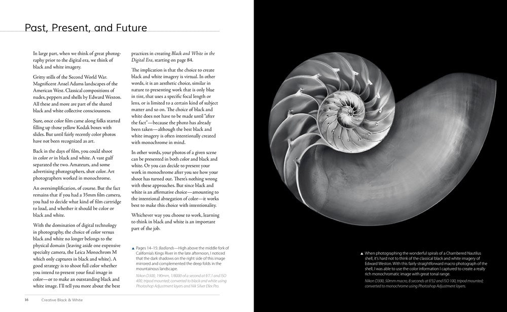 Creative Black and White