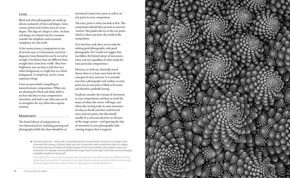 Creative Black and White