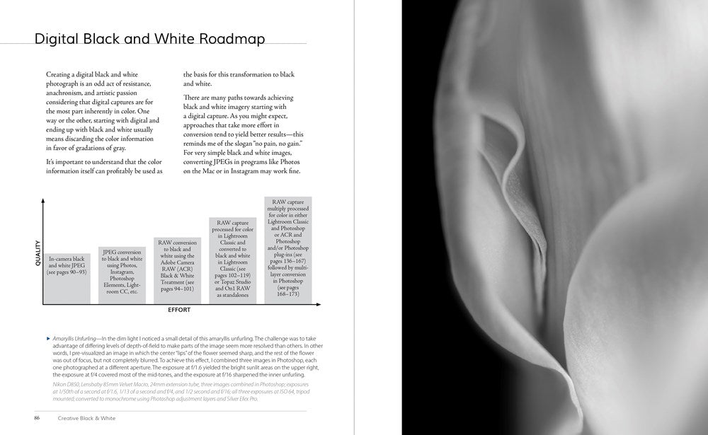 Creative Black and White