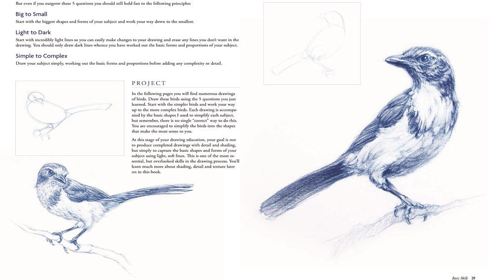 The Art and Science of Drawing