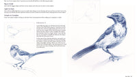 The Art and Science of Drawing