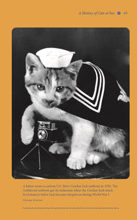 Cats in the Navy