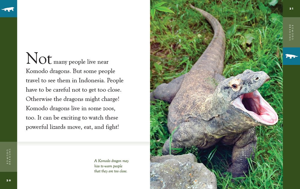 Komodo Dragons