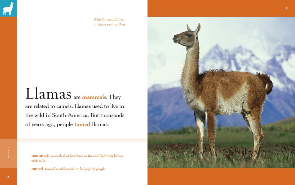 Llamas