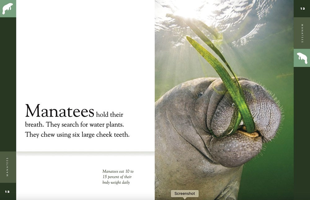 Manatees