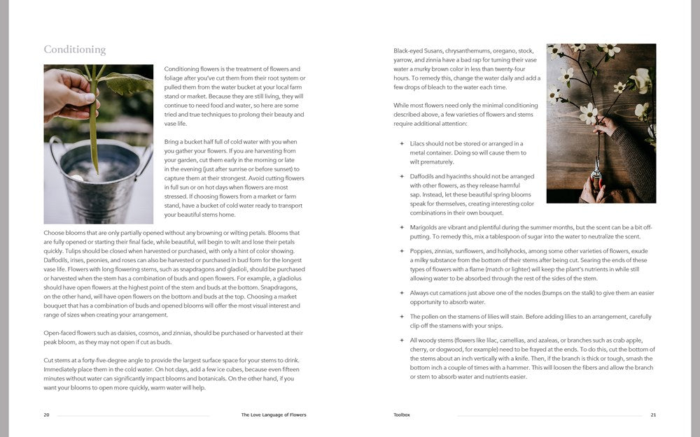 The Love Language of Flowers