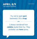 2023 Dad Jokes Boxed Calendar: 365 Days of Punbelievable Jokes