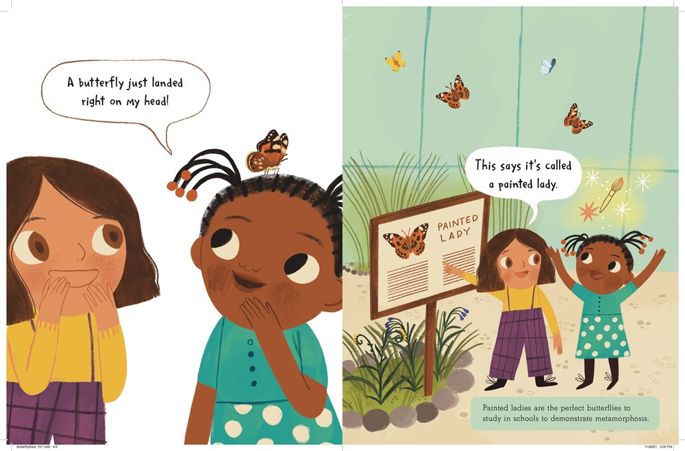 The Story of a Butterfly