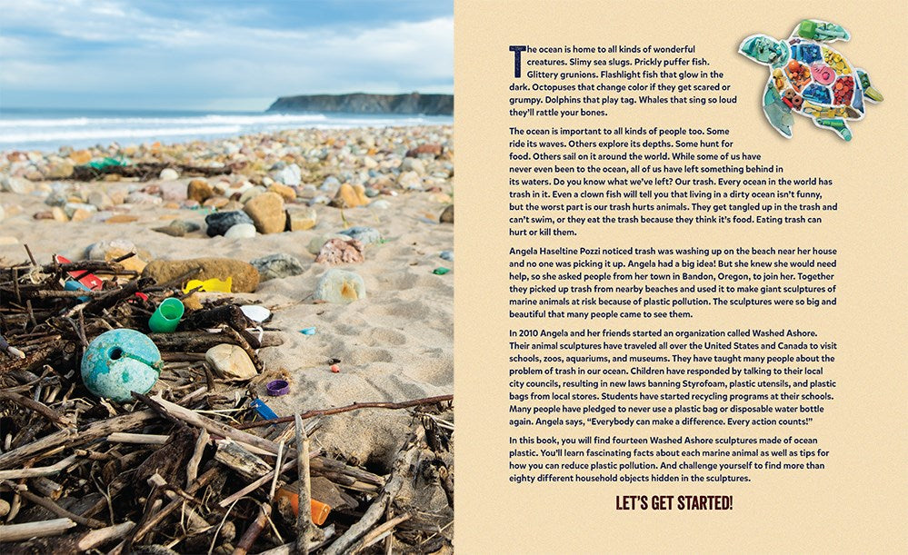 Washed Ashore