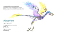 X-Ray Dinosaurs And Other Prehistoric Creatures