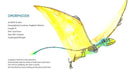 X-Ray Dinosaurs And Other Prehistoric Creatures
