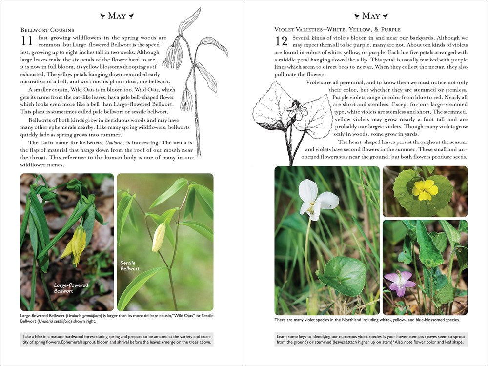 365 Days of Northern Nature