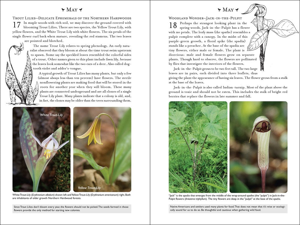 365 Days of Northern Nature