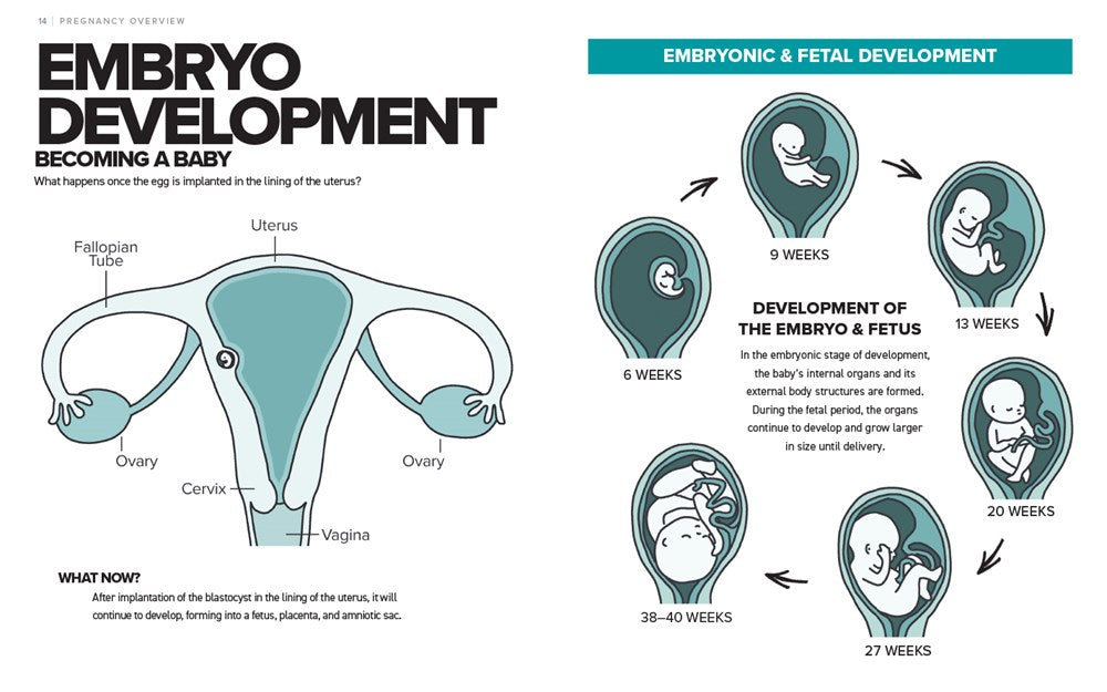 The Simplest Pregnancy Book in the World