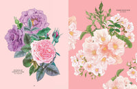 Petal