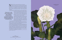 Petal