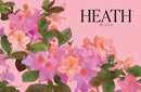 Petal