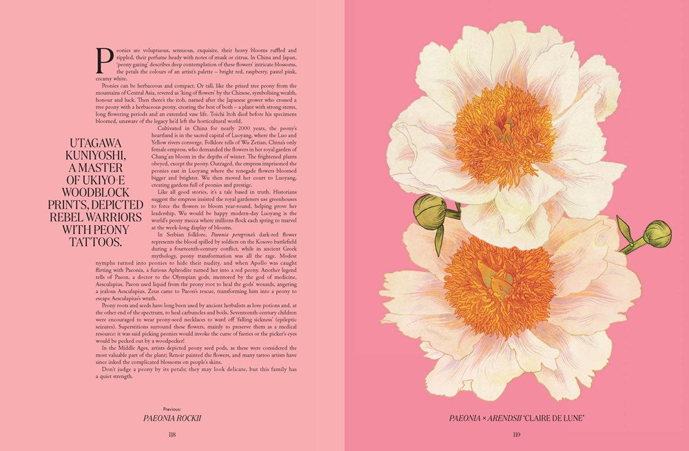Petal