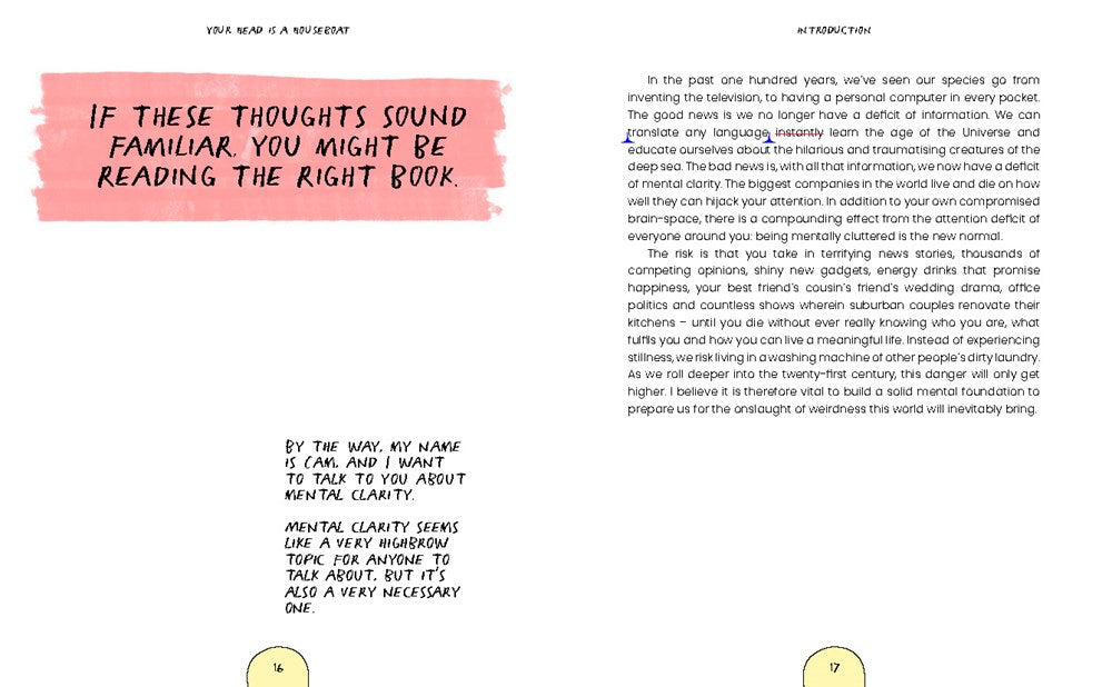 Your Head is a Houseboat: A Chaotic Guide to Mental Clarity
