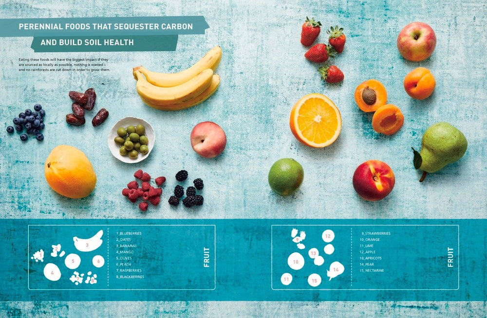 2040: A Handbook for the Regeneration