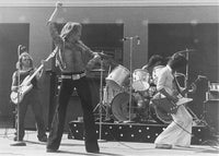 Van Halen Rising