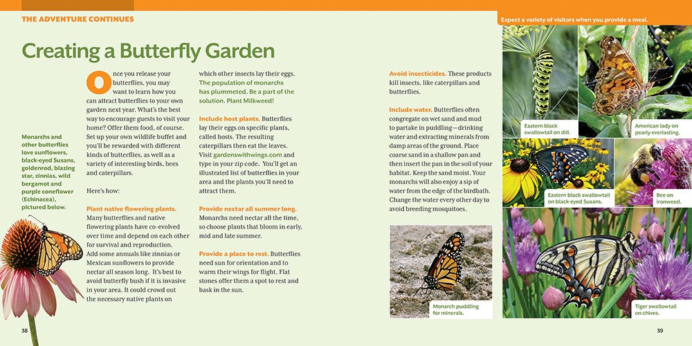 How to Raise Monarch Butterflies: A Step-by-Step Guide for Kids