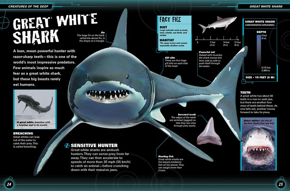 Monsters of the Deep