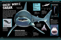 Monsters of the Deep