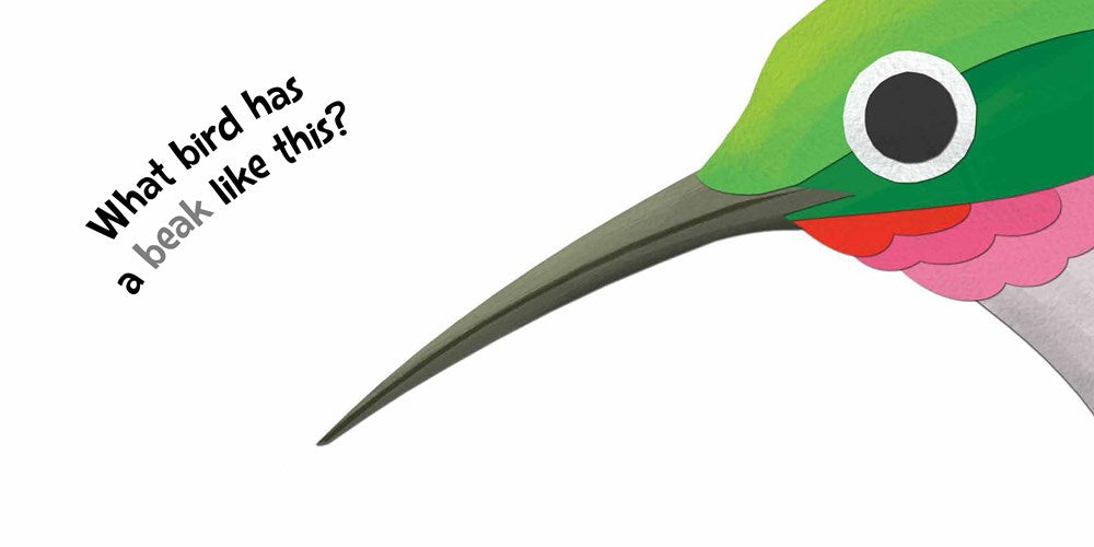 Birds from Head to Tail