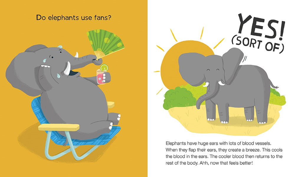 Do Lizards Eat Ice Cream?