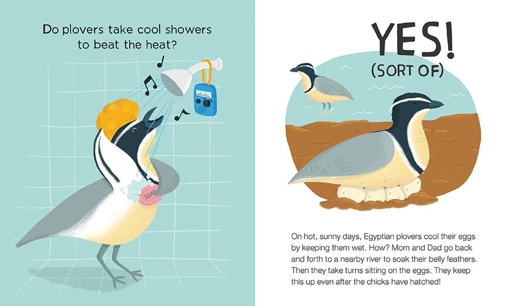 Do Lizards Eat Ice Cream?