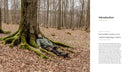 The Hidden Life of Trees: The Illustrated Edition