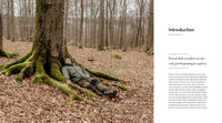 The Hidden Life of Trees: The Illustrated Edition