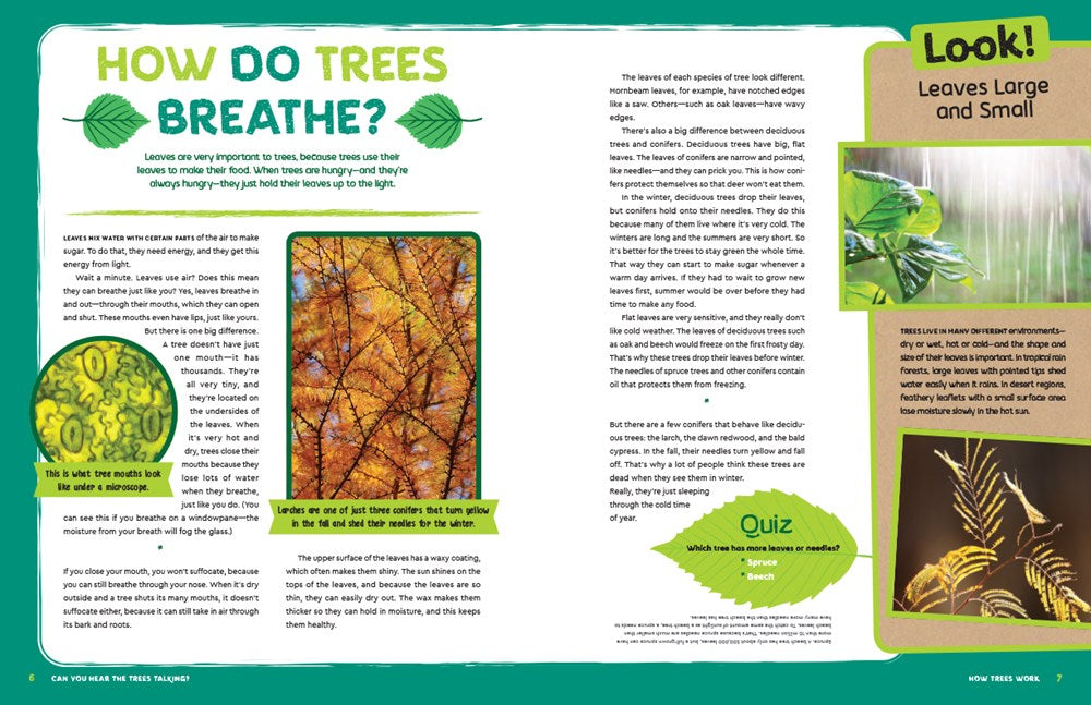 Can You Hear The Trees Talking?