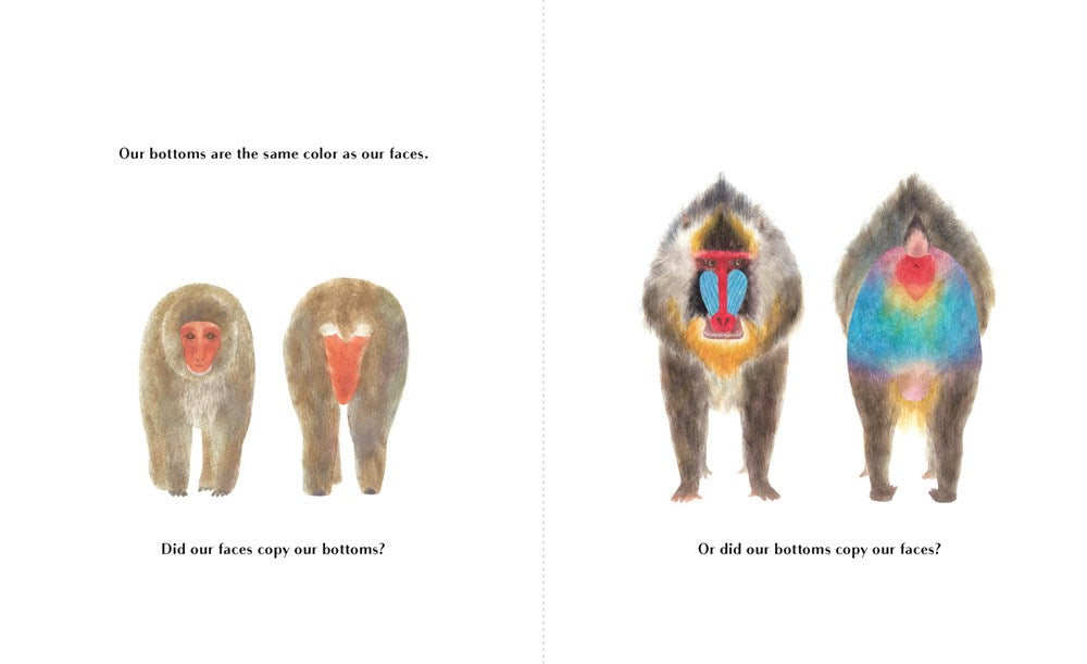 Animals Brag About Their Bottoms