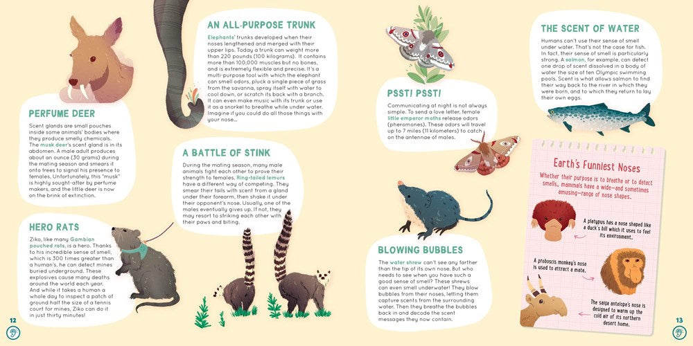 When Elephants Listen With Their Feet