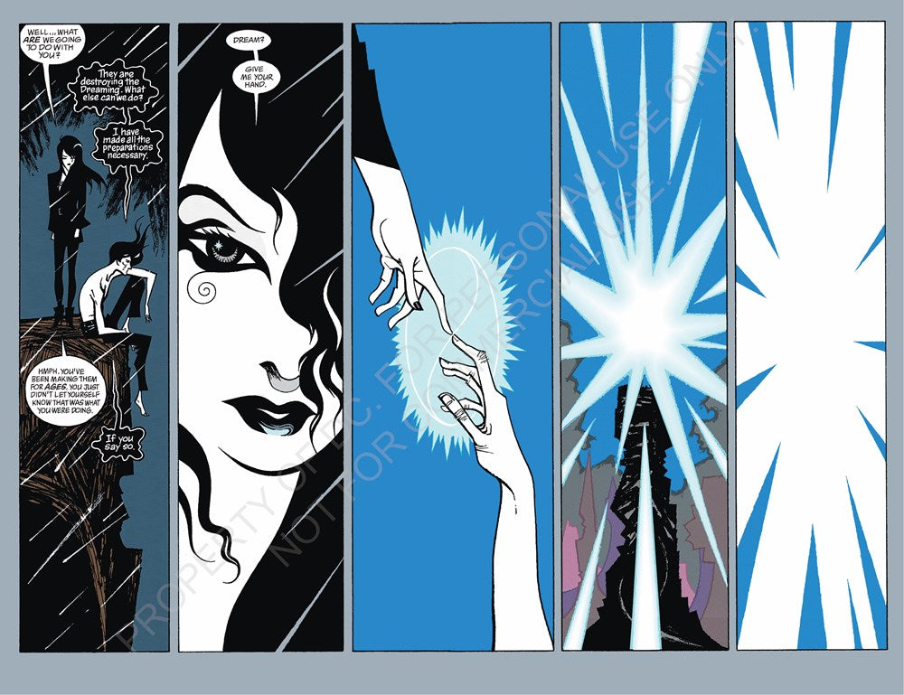 The Sandman Book Four