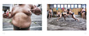 Sumo