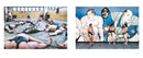 Sumo