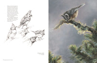 Drawing and Painting Animals with Expression