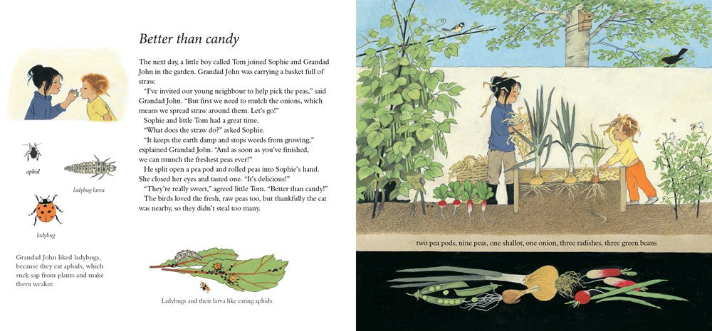 How Does My Garden Grow?