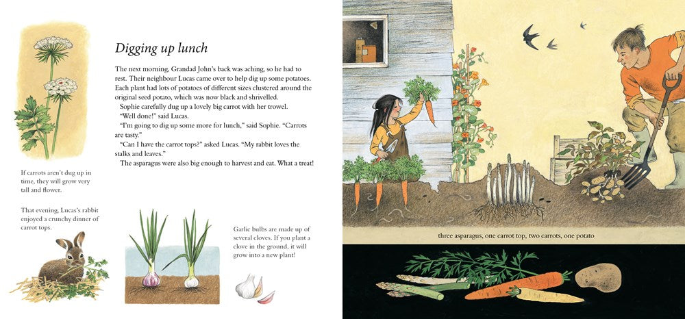 How Does My Garden Grow?