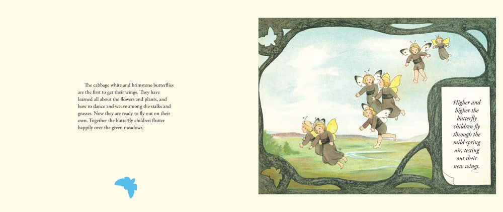 The Story of the Butterfly Children